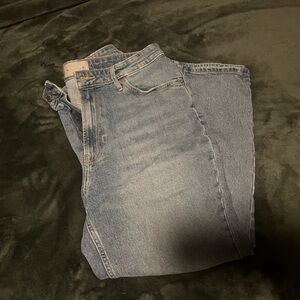 Everlane The Curvy Cheeky Crop Jean size 31